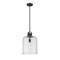 Z-Lite Kinsley 1 Light Pendant, Matte Black And Clear Seeded 340P12-MB - alternate 4